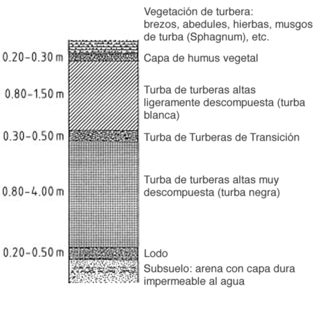 Turba